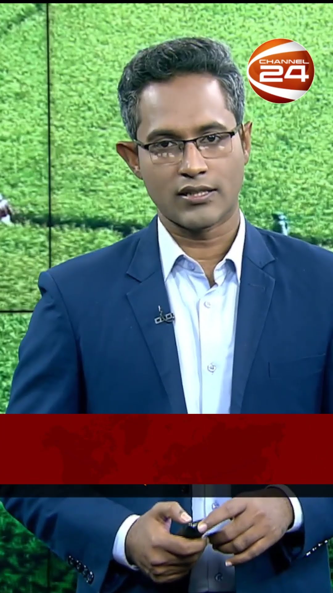 লোনাভূমিতে সাফল্যের হাতছানি দিচ্ছে বারি ১২ বেগুন #channel24 #news #channel24news