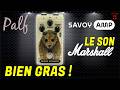 Je n'avais JAMAIS ENTENDU un OVERDRIVE sonner COMME ÇA ! [SAVOY AMP Bears Breaker]