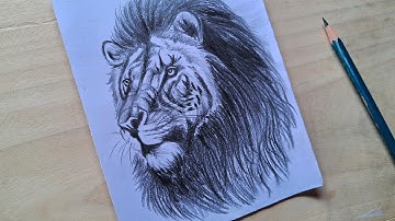 Realistic Lion Head Drawing With Pencil || How To Draw Lion || Pencil Drawing Tutorial