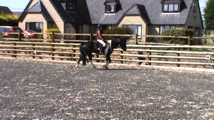 Hazel Carter on Fidget test round INTRO A