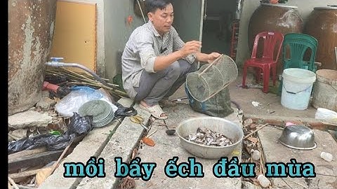 cách làm mồi bẩy ếch đầu mùa #cuocsongmientay