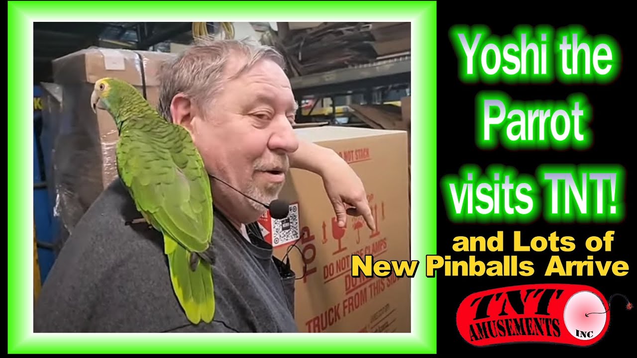 Friday Night at TNT Amusements with Yoshi the Parrot, High Speed and Funhouse Pinball