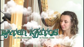 Baten Kaitos 🪽バテン・カイトス - Valley of the Wind ☁️  | Harp cover