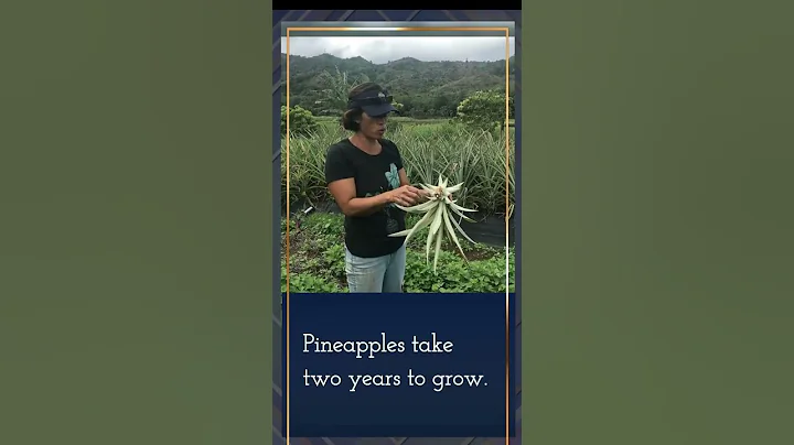 fun facts about the world