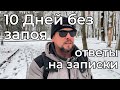 10 дней без запоя | ответы на комментарии | эгоцентризм и национальности России 18+