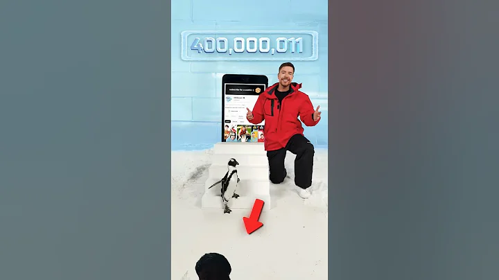 Can I Teach a Penguin To Subscribe? mr.beast new video