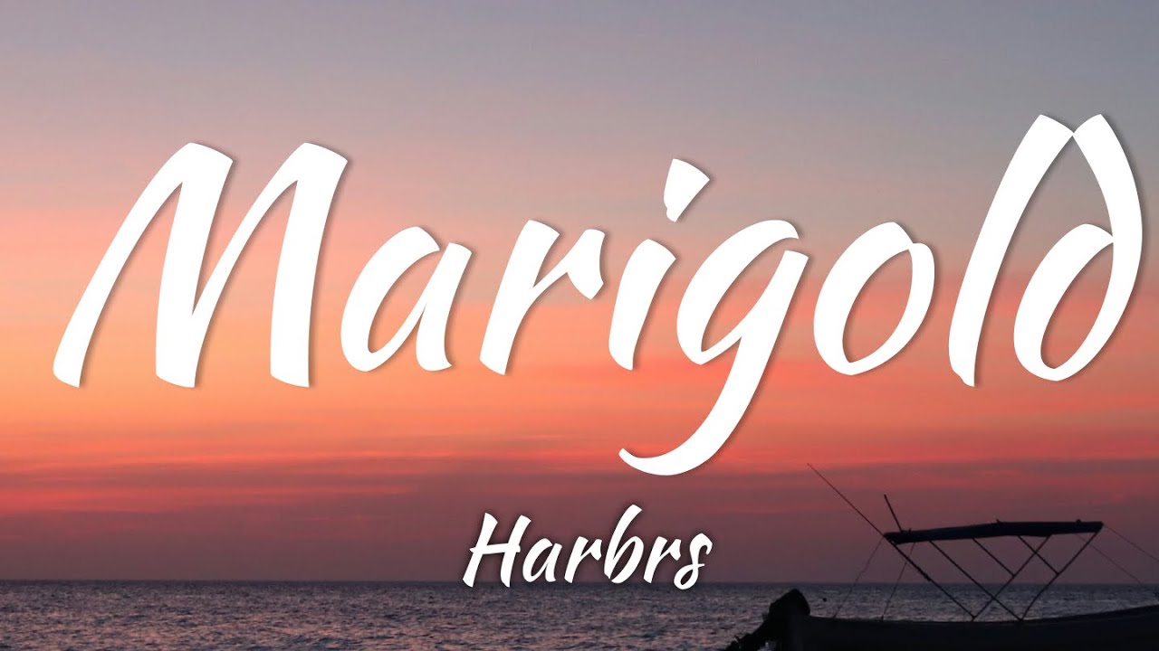 Harbrs - Marigold (Lyrics + Vietsub)