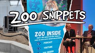 A peak behind the curtains at Burgers Desert! | Zoo Snippets ✂