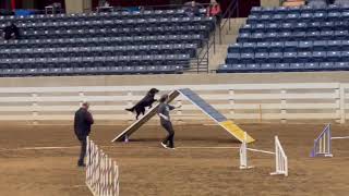 2023-11-24 AKC Novice FAST by Pine Ridge Canines 79 views 5 months ago 41 seconds