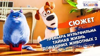 Премьера мультфильма "Тайная Жизнь Домашних Животных 2". Команда "PressA". Телешко Иркутск Премьера мультфильма "Тайная Жизнь Домашних Животных 2". Команда "PressA". Телешко Иркутск