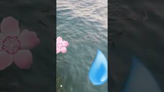 Acımasız Dünya Deyi Insanlar