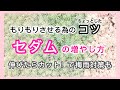 【多肉植物】セダムの増やし方　失敗してわかった！増やし方のコツ　梅雨入り前のカットで蒸れ防止＆増殖