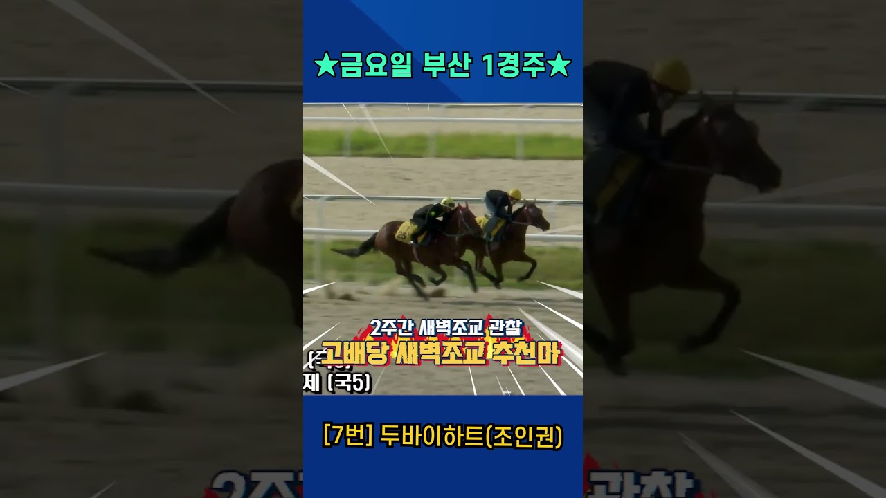 6월19일 금요일 부산1경주!! 2주간 훈련보인 강백호의 새벽조교 쏘스마!!
