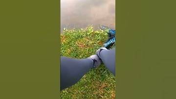 fishing #fishing #amazing #cauca365 #short