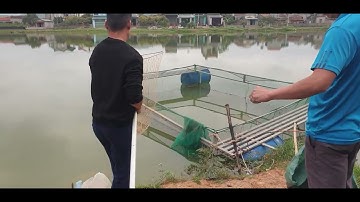 Đi Bắt Thủy Quái l Núi Đồi Lục Ngạn