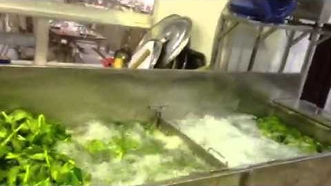 Hệ thống rửa rau BKIDT