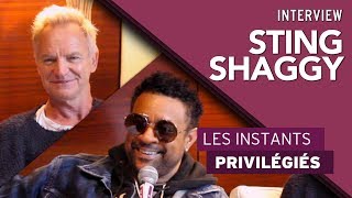 Sting et Shaggy &quot;On aime Paris, la France, les gens&quot; - Interview Hotmixradio