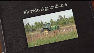The Story of Florida Agriculture