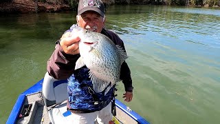 The Best Methods For Catching Shallow Crappie