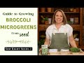 Sow right seeds  how to grow broccoli microgreens