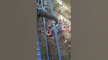 Automatic Rebar Tying Machine