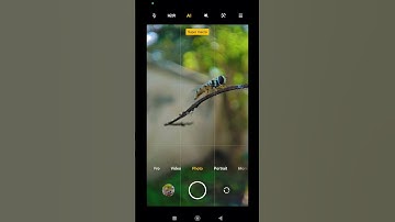 Macro photography in mobile without any lens | Guess the mobile name 😁