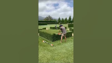 Trees Landscaping Ideas Trending #viral