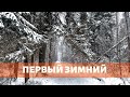 ПЕРВЫЙ ЗИМНИЙ. Уютный поход выходного дня с Кристи по маршруту  Ногинск - Воскресенское