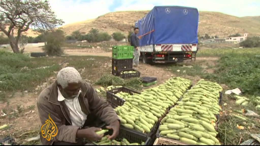 معاناة السفر في الضفة الغربية