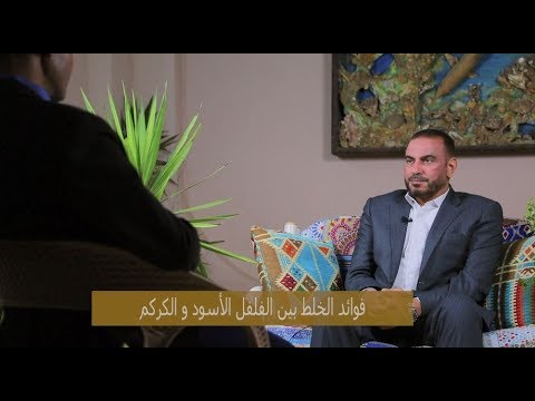 دكتور عادل عبد العال يكشف الفوائد الساحرة من خلط الفلفل الأسود والكركم ببعض