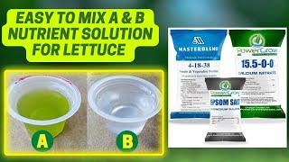 How To Mix Hydroponic Nutrient Solution For Lettuce Hydroponic Nutrient Solution Masterblend