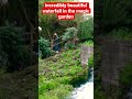#shorts incredibly beautiful waterfall in the magic garden 🪴