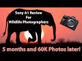 Sony A1 Review For Wildlife Photographers