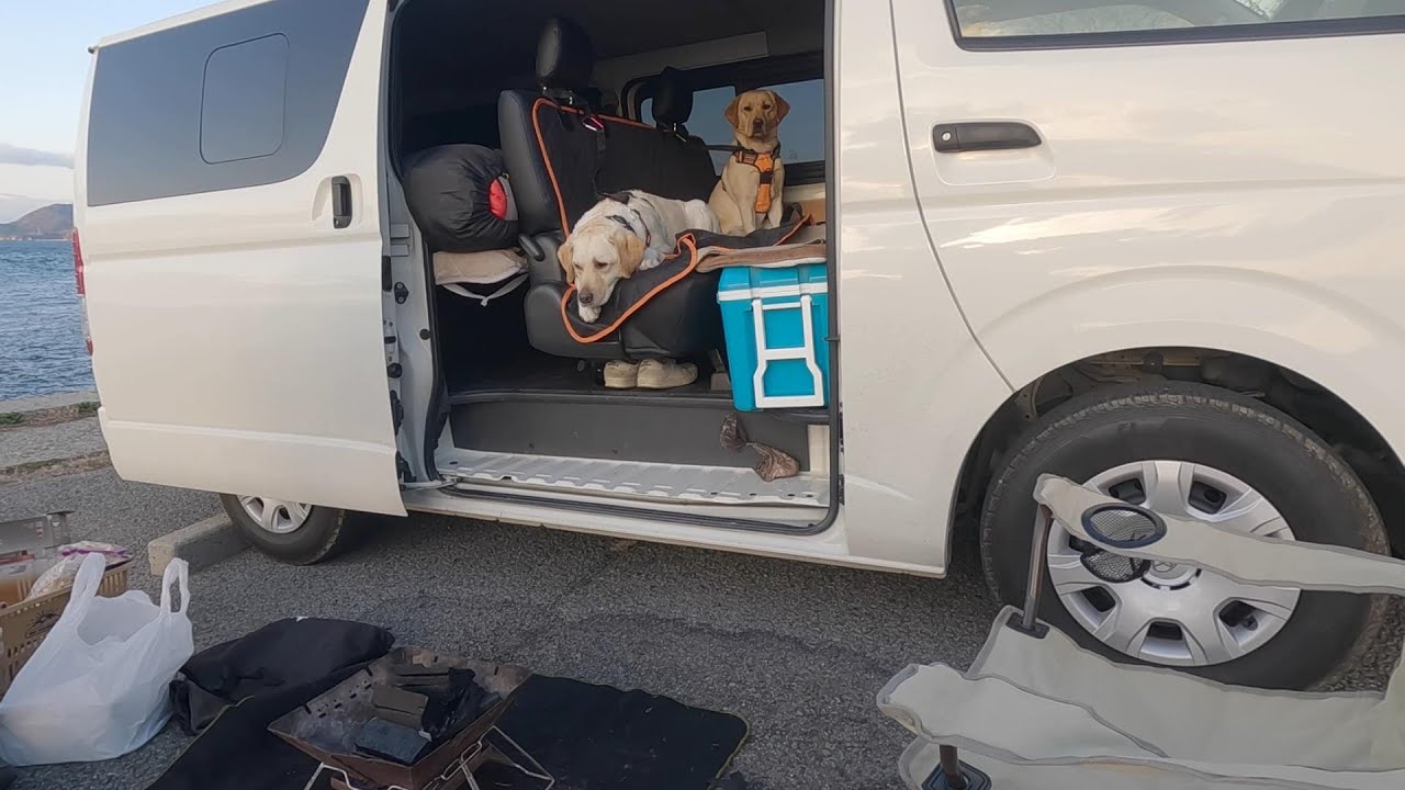 2023年初旅行！大型犬としまなみ海道、車中泊の旅。ラブラドールきなこ6歳１か月サブレ1歳５か月