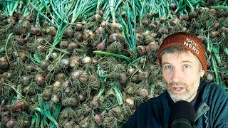 How to Grow Shallots + Are Earwigs Good or Bad?