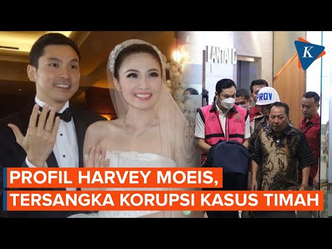 Profil Harvey Moeis, Suami Sandra Dewi yang Ditetapkan Jadi Tersangka Korupsi Kasus Timah