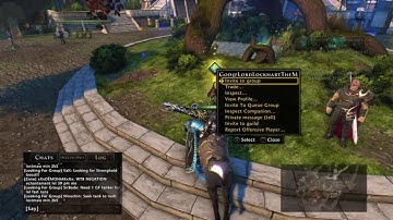 Neverwinter PS4 - What Do I Do After Level 70?