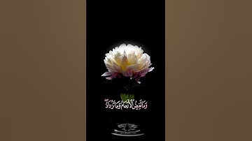 صباح الخير💕حالات واتس اب مقاطع قصيره💕قران سورة الرعدالله يعلم ما تحمل كل أنثى💕احمد النفيس💕بدون حقوق