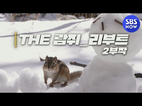   SBS 스페셜 티저 THE 다큐멘터리 SBS 스페셜 시즌제로 돌아오다 SBS Special Preview SBS NOW