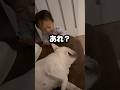 起床した1歳児が愛犬の行動にびっくり…w #フレンチブルドッグ #犬 #赤ちゃん
