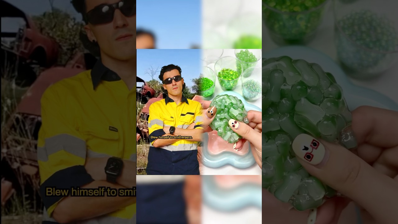 Life after Bob The Builder 