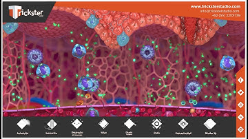 Respuesta Inflamatoria / Animación 3D / UNAM