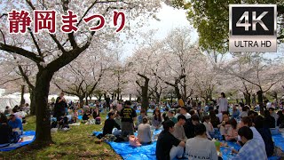 静岡まつり2024 駿府城公園の桜・花見散歩 Walking Through Japan's Shizuoka Cherry Blossom Festival