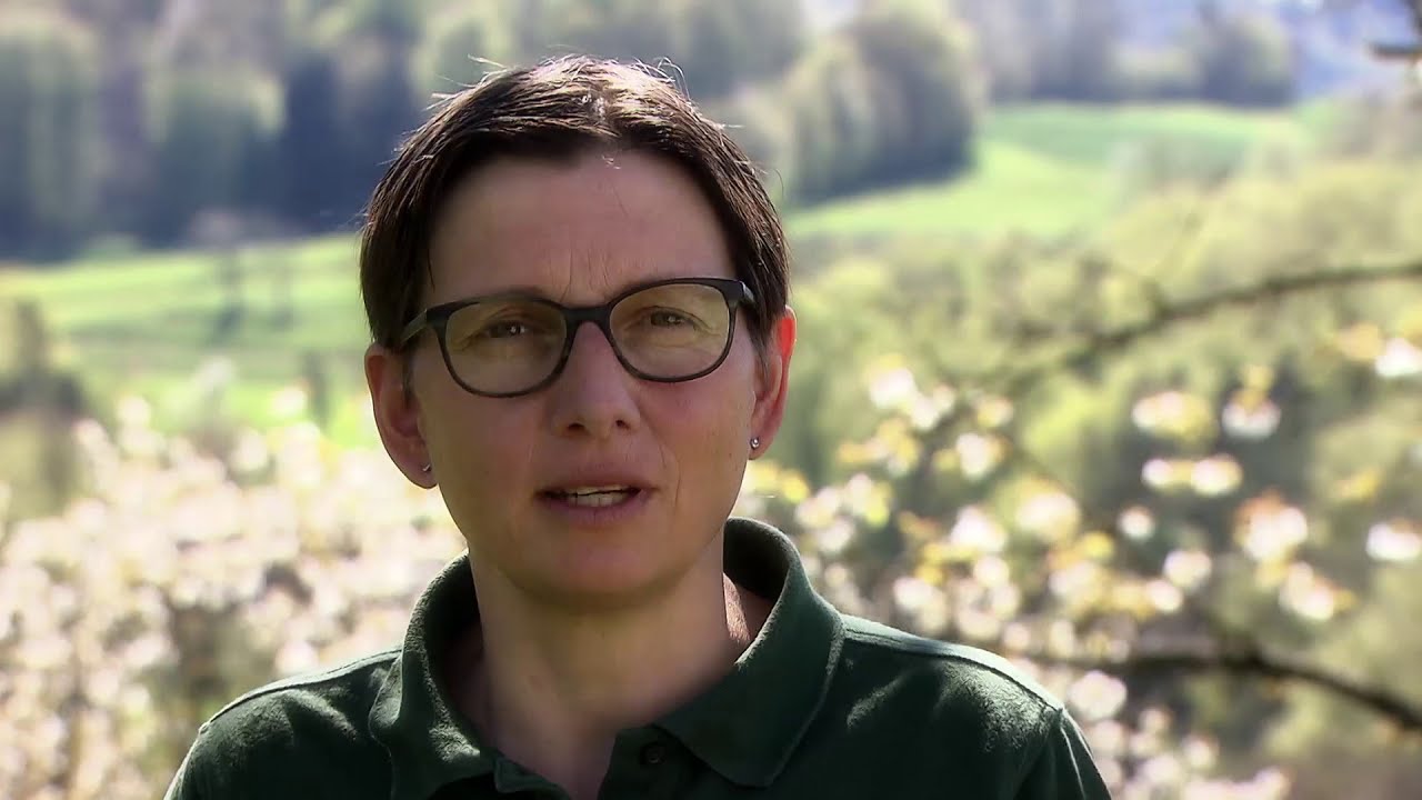 Parkportrait Swisslos: Jurapark Aargau