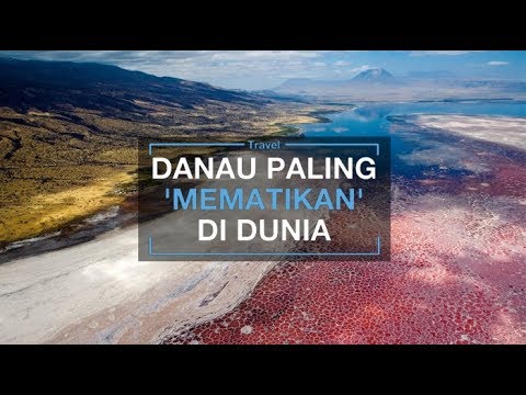 Video: Indah Dan Mengerikan. Danau Yang Mengubah Hewan Menjadi Batu