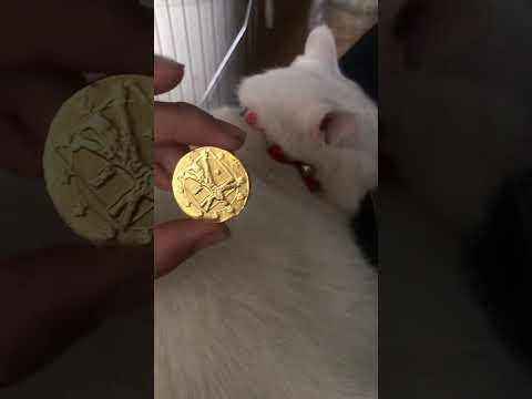 ビットコイン買ってみた