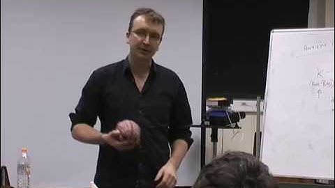 NLP, Neurology and Anxiety #2