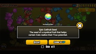 Battle Cats Growing Epic Spectrum Of Truth Miracle Iris No Ubers