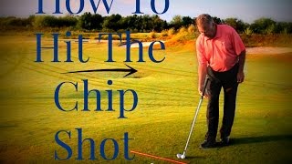 Celebrity How To Hit The Chip Shot Net Worth