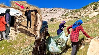 Nomadic life in the heart of the mountains: a story of a family that is one with nature"